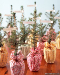 Christmas Weddings are double the fun. Even the wedding favors are taken care of. Photo Credit: http://www.marthastewartweddings.com