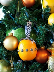 Citrus Fruit Christmas Ornament. Photo Credit: http://www.hgtv.com