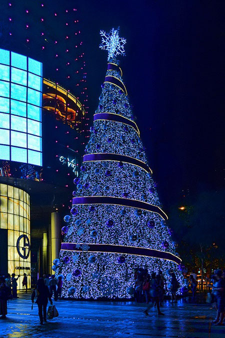 beautiful indoor christmas trees