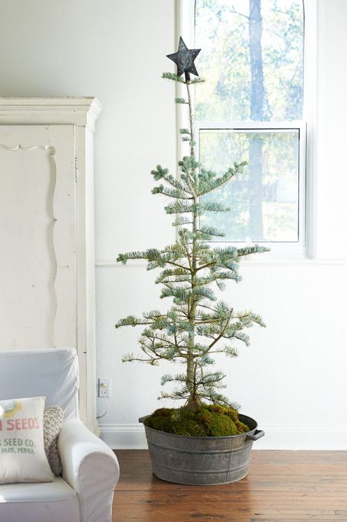 Christmas Tree Stand Decoration Ideas