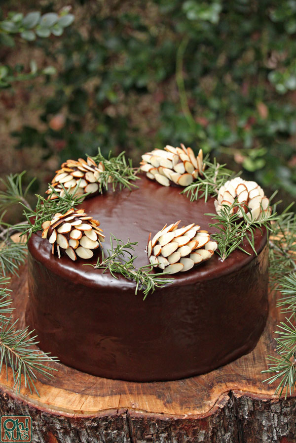 Christmas Cake Decoration Ideas