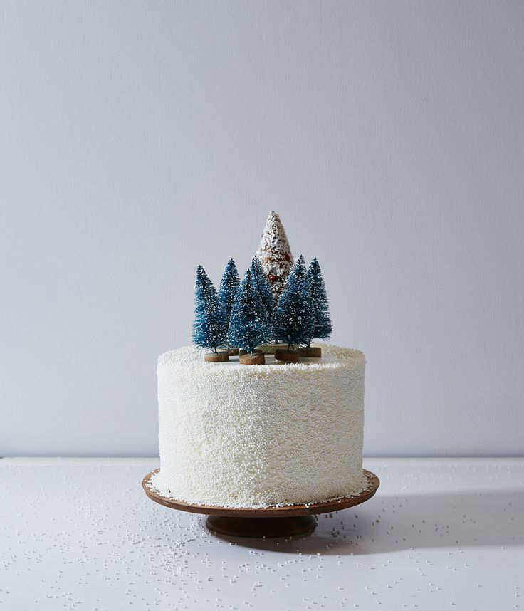 Christmas Cake Decoration Ideas