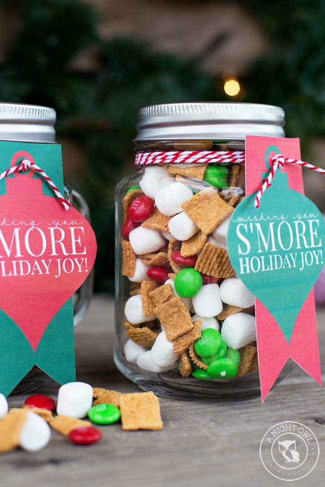 Mason Jar Gifts Ideas for Christmas